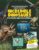 Uncover Fascinating Insights About Incredible Dinosaurs: Picture Encyclopedia