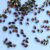 #US SequinsGold-Plated Wash Embossed Diamond Glitter (4mm x 3mm) No Hole 048