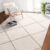 VEVOR Indoor Area Rug for Living Room Bedroom, 6×9 ft Plush Carpet Area Rug Fluffy with Long Plushs Pile, Noise-Reducing Floor Carpet for Sunroom Home Decor, Non-Shedding & TPR Non-Slip Backing