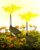 vimwing Solar Butterfly Garden Light with Moving Wings Bringing Your Garden to Life – 2 Packs