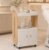 VivaDomus Salon Trolley Cart, Esthetician Cart for Beauty Salon, White