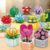 Vyridat Succulent Building Sets Potted Plant Brick Toy