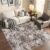 Washable 5×5 Area Rug Bedroom: Thin Low Pile Carpet for Indoor Living Room