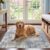 Washable Abstract 4×4 Square Rug: Low Pile Throw Rugs with Non Slip Rubber Backing Stain Resistant Carpet Soft Rugs for Entryway Living Room Bedroom (Blue Gray,4×4 Square)