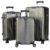 WEICHEN Hard Shell Luggage Set, Spinner Wheels, Gray, 3-Piece