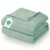 Wemore Weighted Blanket for Adults Queen Size 15 lbs, Minky Dot Cooling Heavy Blankets, Cozy Soft Washable Throw Blanket with Glass Beads, Green 60 x 80 inches