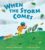 When the Storm Comes