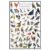 Where’s Wildlife North Carolina Backyard Birds Laminated Poster | Common Bird Feeder Visitors