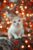 White cat 1000 Pieces Puzzle for Adults, Educational Intellectual Jigsaw Puzzle,Animal Fantasy Puzzles for Adults Fun Game 20 * 28.8 Inch