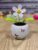 White Flower Solar Powered Dancing Flip Flap Animated Bobblehead Dancer Window Sun Catcher Car Dashboard Statues Decor Solar Power Kits