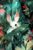 White Rabbit 500 Pieces Puzzle for Adults, Educational Intellectual Jigsaw Puzzle,Animal Fantasy Puzzles for Adults Fun Game 15.2 * 20.8 Inch