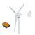 Wind Generator, Wind Turbine Generator Low Speed 2000W Horizontal 12V 24V 48V Windmill With MPPT Charger Controller(MPPT Controller,3_12V_2000W)