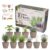 Window Herb Garden Kit – 10 GMO-Free Indoor Herbs with Biodegradable Bamboo Pots – Eco-Friendly Kitchen Planter Set for Easy Gardening & Sustainable Growing – A Unique Gift for Women and Kids