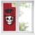 Window Privacy Film Frosted, Halloween Removable Glass Window Covering, Skull Head Red Roses Horror Street Art Decorative Privacy Windows Film for Bedroom, Living Room, 19.6 x 39.3 Inches