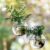 Window Propagation Stations, Oblate Glass Terrariums Planter with Suction Cup Hook, Wall Hanging Planters for Hydroponics Plants, Home, Office, Bathroom, Living Room Decor, Gift for Plant Lovers (2)