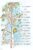 Winnie The Pooh Climbing Print Poster 16×24
