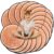 Woanger 24 Pcs Carpet Circle Seats 13.78 Inch 3D Digital Print Wood Tree Round Floor Cushion Soft Warm Small Mat Circle for Preschool Classroom Seating Home Couch Sofa Bedroom Living Room Decor
