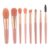 WODHAZNC 8 Mini Makeup Brush Portable Soft Hair Set Beauty Tool Foundation