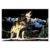 Wolf Scratch Art for Teens & Adults Rainbow Painting Sketch Pads with 3