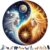 Wooden Puzzle for Adults 246 Piece Yin Yang Sun & Moon Goddess Puzzle