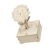 Wooden Sunflowers Construction Solar Tracking Set Demonstrating Phototropism Principle Ideal for Classroom Solar Tracking Wooden Model for Physics Education & Light-Following Desk