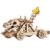 Wood Trick Dragonskull Catapult – Shoots with Foam Balls – Dragon-Bone Details – 8.4×3.5″ – 3D Wooden Puzzles for Adults to Build – Engineering DIY Models for Adults to Build