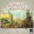 World Wonders Strategy Board Game by Arcane Wonders | Build Iconic Landmarks, Compete Strategically | for 1-5 Players | Ages 14+