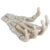Xixian Halloween Skeleton Hands Model, Resin Human Hand Bone Ornament for Medical Teaching Demo, Phone Holder Stand, Home Decor Prop, 6.1 Inch Plastic Skull Claw Structure Display Piece