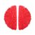 Xixian Yoga Half Ball for Balance Training and Foot Massage Therapy (Red)