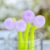 XJPWZER 10 Pcs Flower Gel Pens Discolor Pen Cute Girl School Office Stationery Supplies Sweet Pretty Lovely Funny