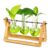 XXXFLOWER Plant Terrarium Kit with Wooden Stand 3 Gradient Green Bulb Vases