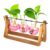 XXXFLOWER Plant Terrarium Kit with Wooden Stand 3 Gradient Pink Bulb Vases
