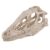Ycauty Resin Dinosaur Skull Model, Simulated Animal Skeleton Craft for Home Office Decor Teaching Prop