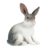 Yiju Figurine Realistic Bunny Animal Figure Model PVC Material Educational Toy Suitable for Children Collector Display, Style C