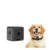 Zeerkeer Cat Camera Collar with Video Record, 1080P Magnetic Wireless Mini Sport cam Action Camera for Dogs Cats, Body Camera for Pet Supplies Stuff Outdoor/Inoor