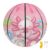 Zengppxfd Dount Axolotl 27.5” Basketball for Girls School Gym Team