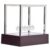 Zerodis Newton Cradle Balance Balls Science Kits Toys for Home Decoration Kids Gift Ornaments (Newton Ball Trumpet Purple Base)