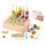ZQsmgs Shape Stacking Blocks Lacing Beads & Carrot Memory Game
