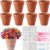 Zubebe 26 Pcs Ceramic to Paint Your Own Mexican Terracotta Pots Set 8 Cantaritos De Barro 8 White Clay 6 Mexicanos Talavera Stencil 2 Clay Tool Set 2 Paint Kit Halloween Day of the Dead Gift (Classic)